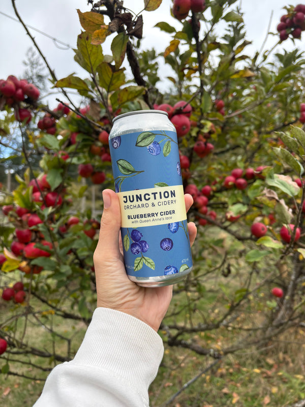 Blueberry Cider Cans